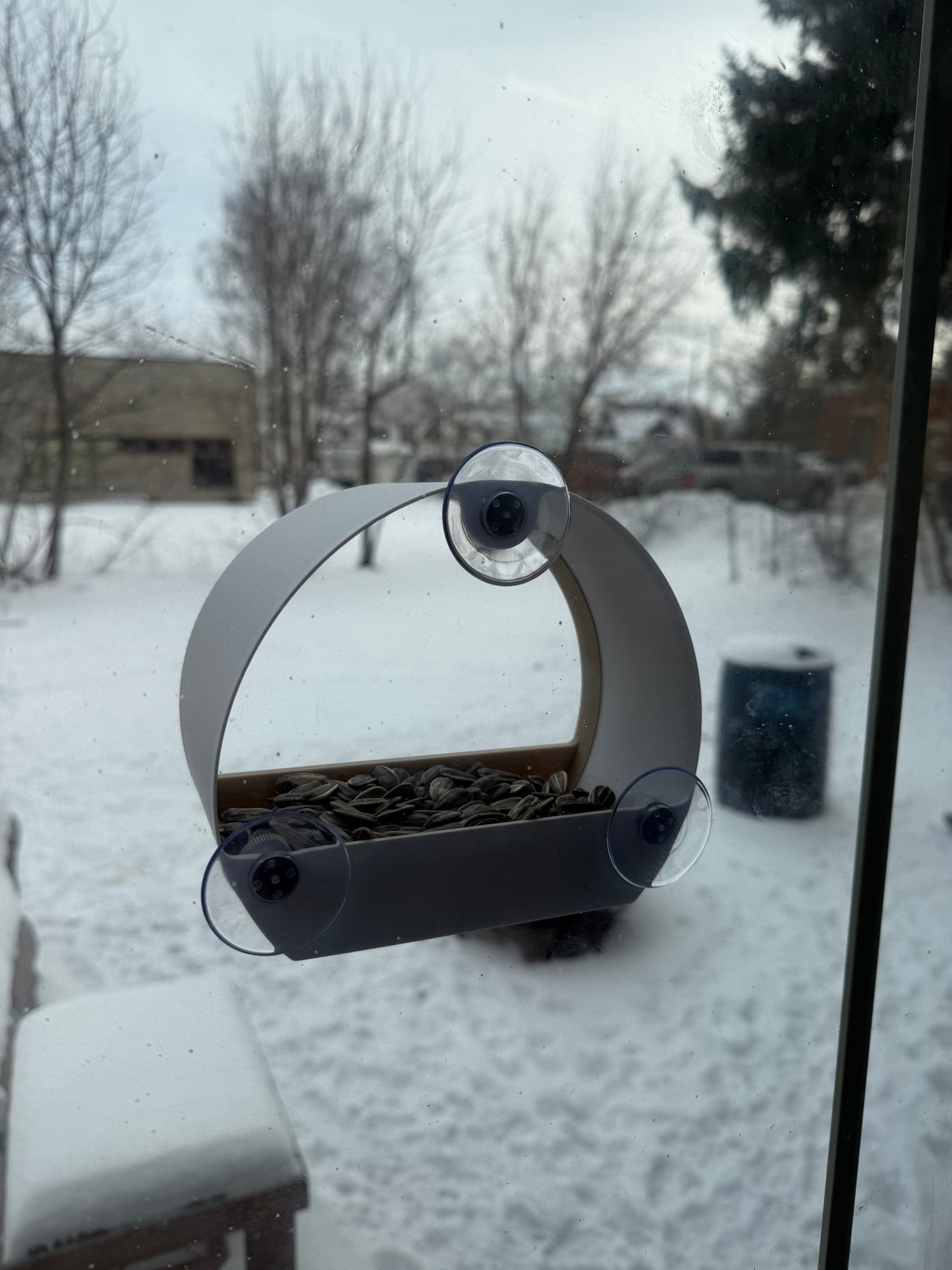 Window mounted Bird feeder